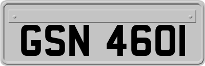 GSN4601