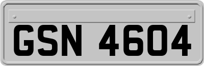 GSN4604