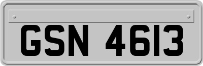 GSN4613