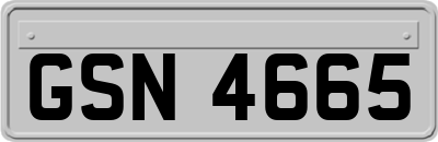 GSN4665