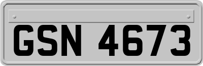 GSN4673