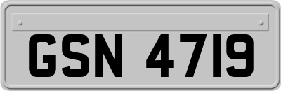 GSN4719