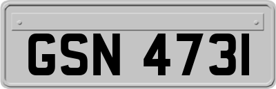 GSN4731