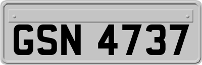 GSN4737