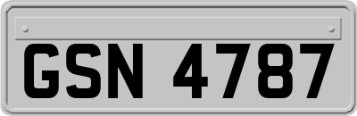 GSN4787