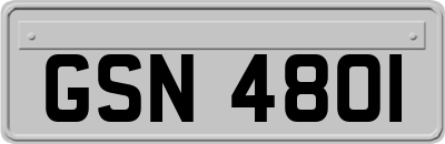 GSN4801