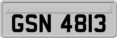 GSN4813