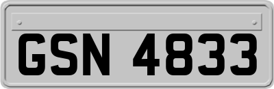 GSN4833