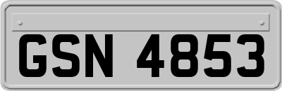 GSN4853