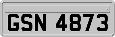 GSN4873