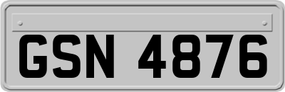 GSN4876