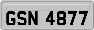 GSN4877