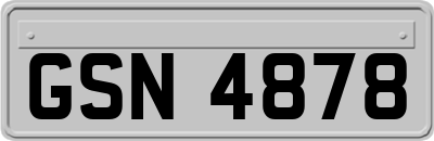 GSN4878