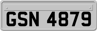 GSN4879