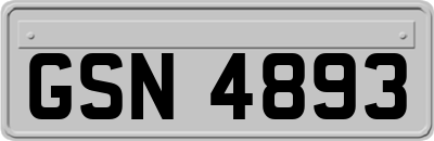 GSN4893