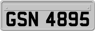 GSN4895