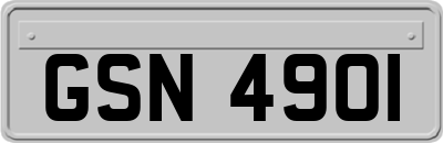 GSN4901