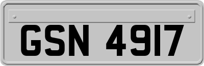 GSN4917