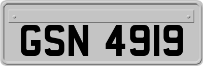 GSN4919