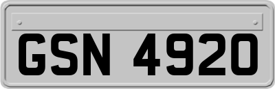 GSN4920