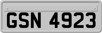 GSN4923