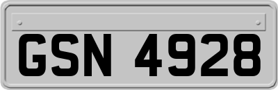GSN4928