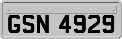GSN4929