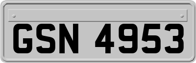 GSN4953