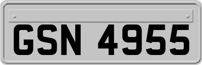 GSN4955