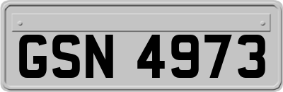 GSN4973