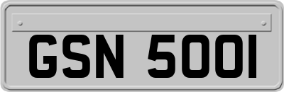 GSN5001