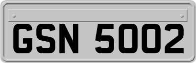 GSN5002