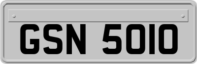 GSN5010