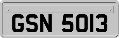 GSN5013