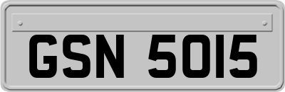 GSN5015