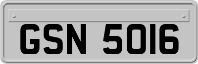 GSN5016