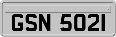 GSN5021