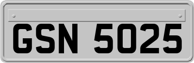 GSN5025