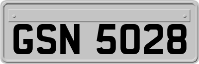 GSN5028