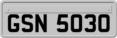 GSN5030