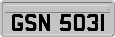 GSN5031