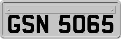 GSN5065