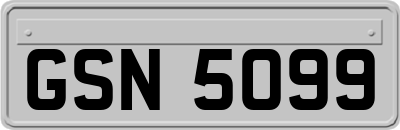 GSN5099