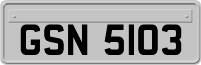 GSN5103
