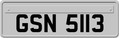 GSN5113