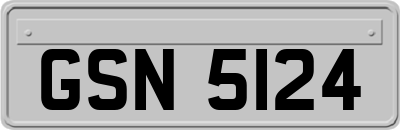 GSN5124
