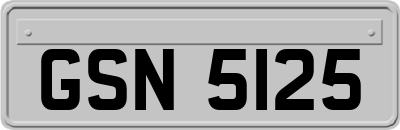 GSN5125
