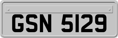 GSN5129