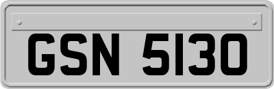 GSN5130