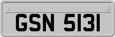 GSN5131